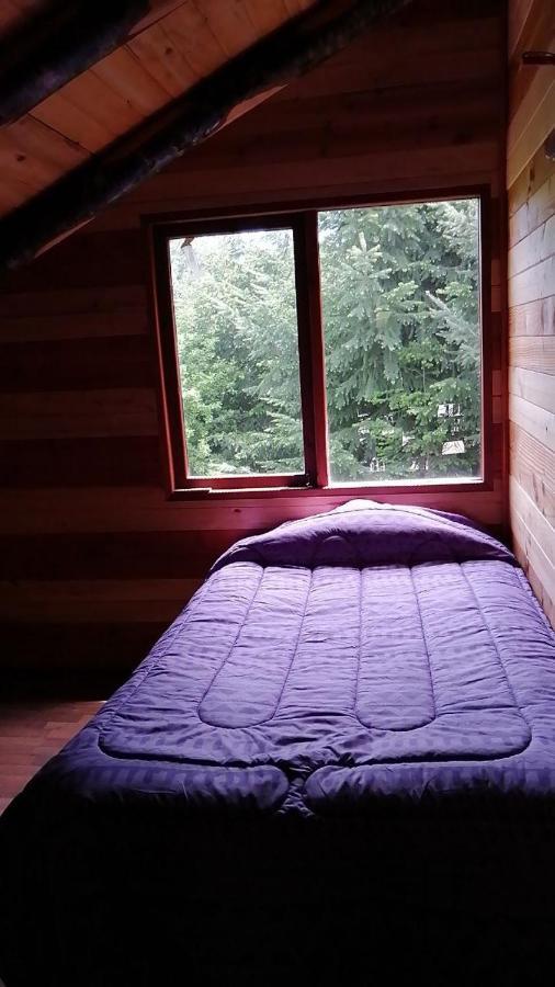 Hostal Ayalen Y Cabalgata * Curarrehue