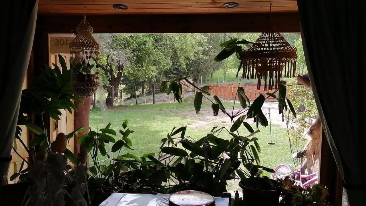 Hostal Ayalen Y Cabalgata * Curarrehue
